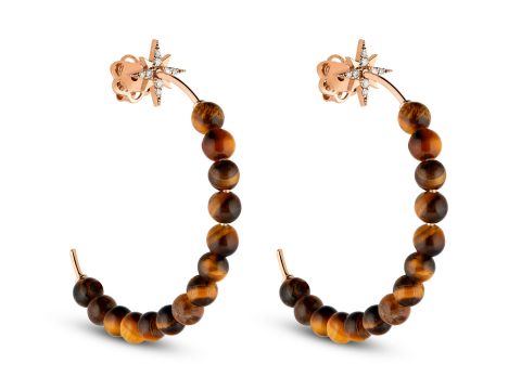 Tiger Eye North Star Küpe